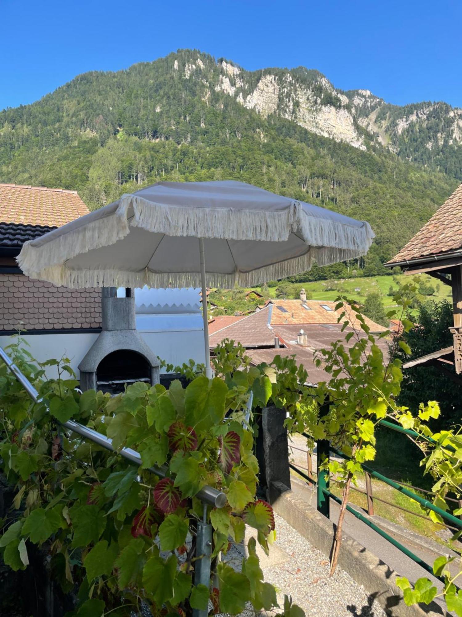 Studio In Alps By Apartments Capricorn Gsteigwiler Exterior foto